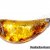 Amber with inclusions
