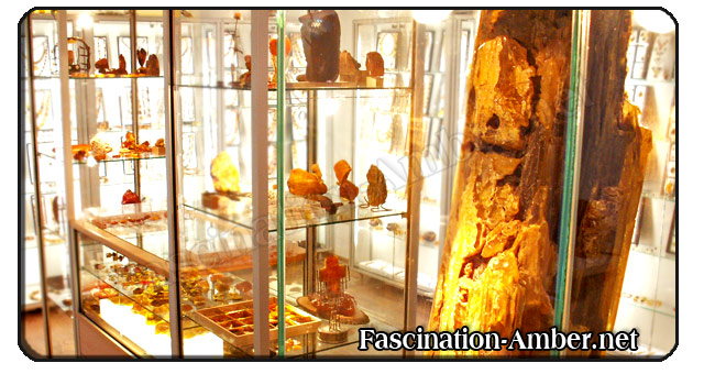 Amber Museum 