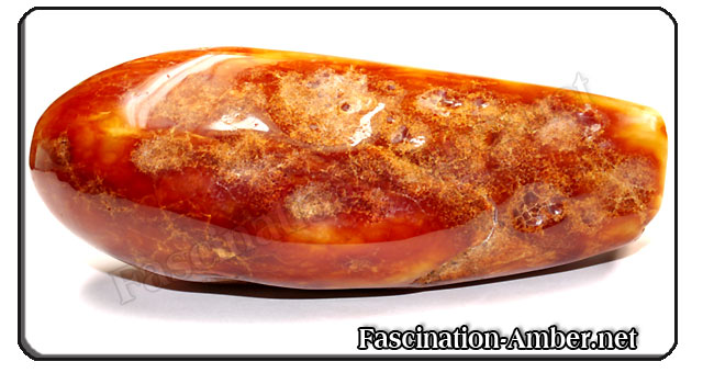 Amber-eggplant