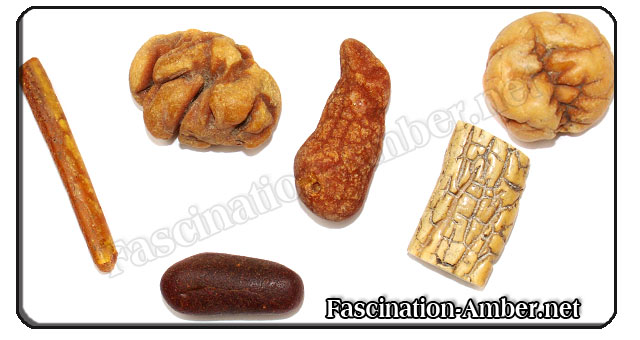 Amber forms