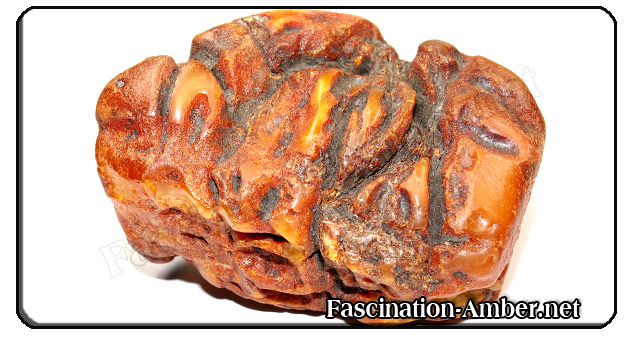 Amber weathering crust