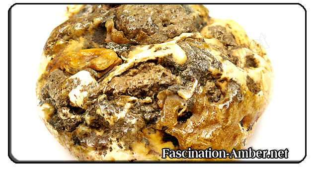 Earth Amber
