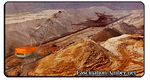 amber jarntarny - russia amber jarntarny - russia