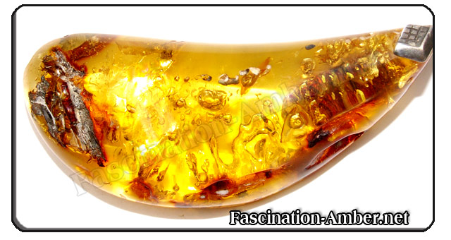 amber - pendant amber - pendant