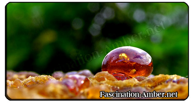 Amber resin