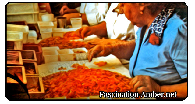 amber - sorting amber - sorting