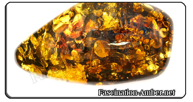 Amber with sonnenflinten Amber with sonnenflinten