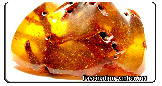 inclusions inclusions