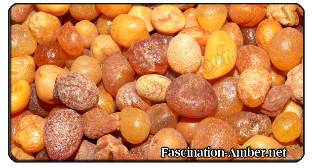 Nature amber
